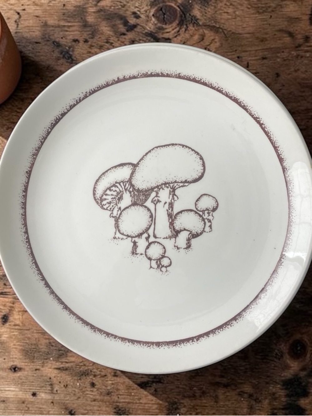 Pair of Vintage Merrie Mushroom Ironstone Dinner Plates